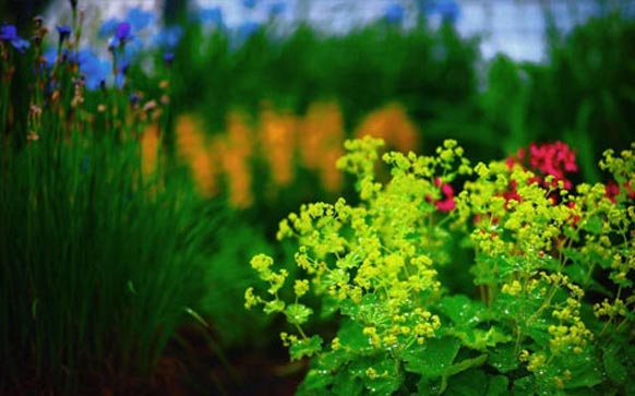 雅思口语答题公式