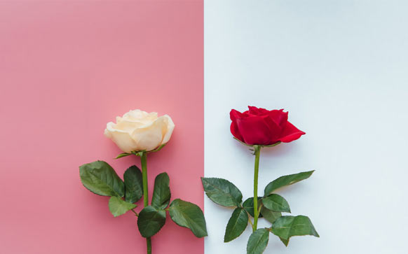 雅思阅读做题技巧