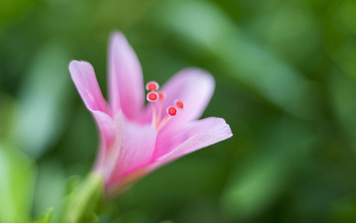 雅思学术类报考流程