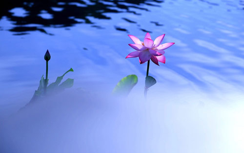 雅思口语怎样谈论食物