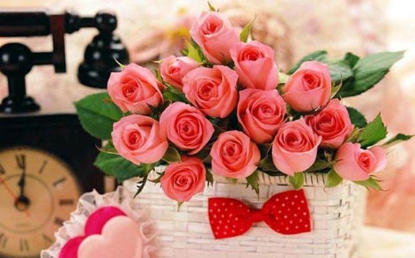 雅思作文应该怎么写