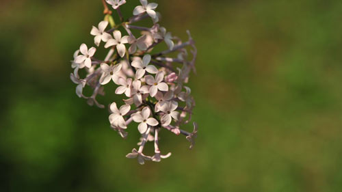 雅思口语考试怎么用句型语法