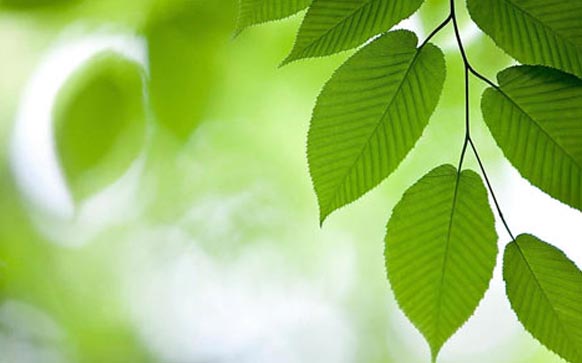 雅思口语专注做一件事话题