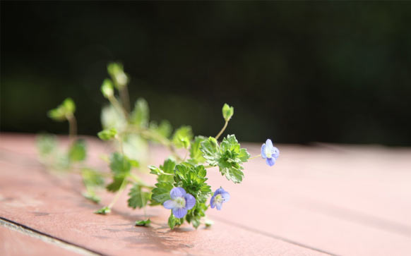 雅思口语Part2 如何展开话题