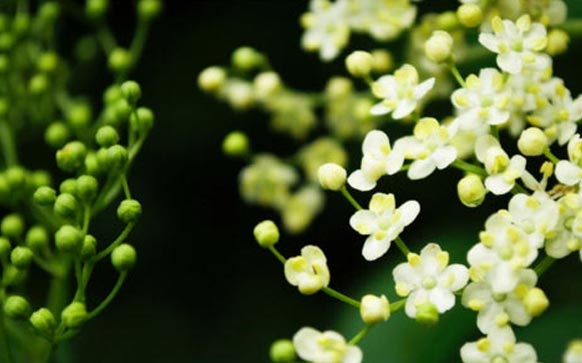 雅思口语话题朋友做过的趣事