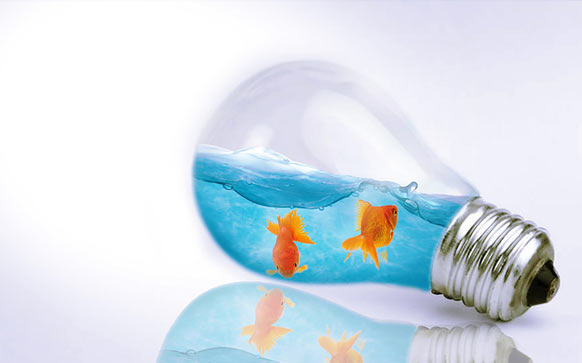 雅思写作怎么写结尾