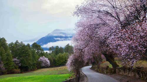 雅思口语考试怎么预约