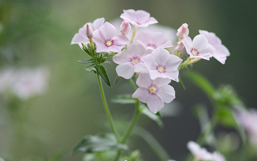 怎样从雅思口语6到7