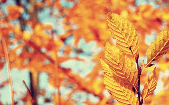 雅思阅读考试的时间少难点多怎么办