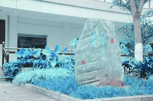 雅思半年备考计划