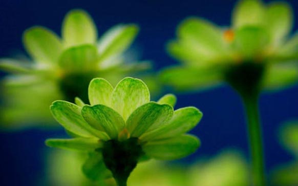 雅思阅读失分原因及解决办法