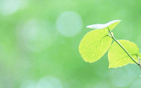 雅思阅读怎么从7到8