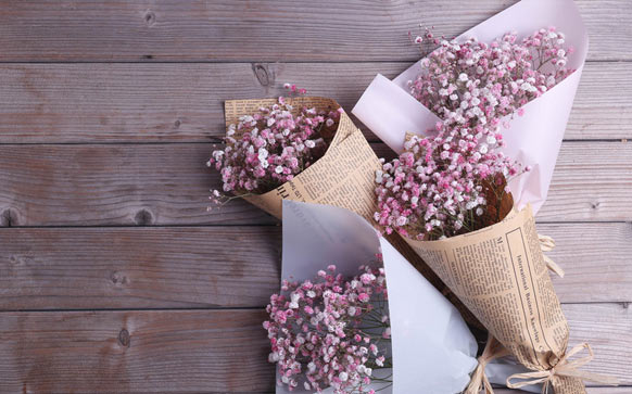 雅思口语话题教师