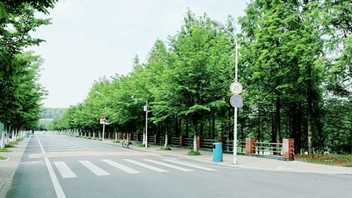 雅思口语怎么评分