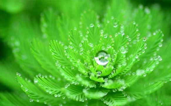 雅思听力怎么考到6分