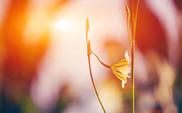 雅思阅读怎么迅速提高