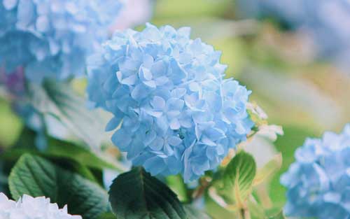 怎样快速提高雅思口语