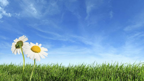 雅思口语怎么流畅