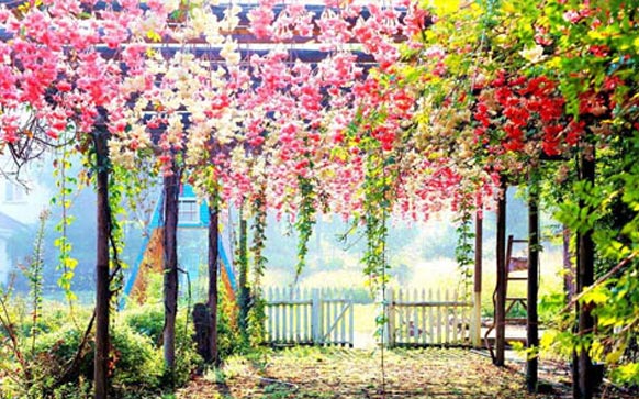 雅思口语不行怎么办