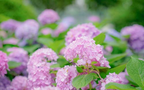 雅思口语考试常见问题