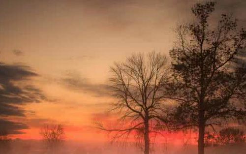 如何提高雅思听力水平