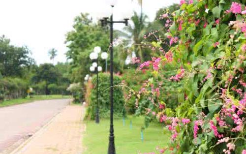 托福学习方法_托福学习计划