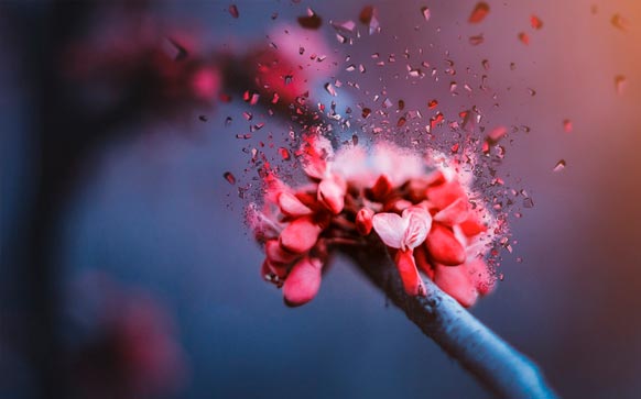 雅思口语part2家具范文