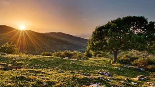 雅思口语part2怎么答