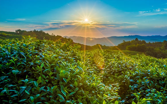 雅思口语part2范文长江