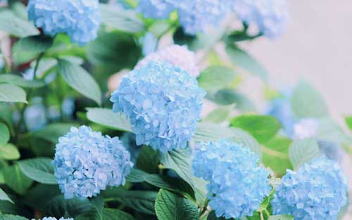 怎样回答雅思口语part1