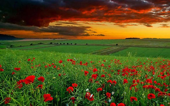 雅思口语part2范文：感兴趣的名人