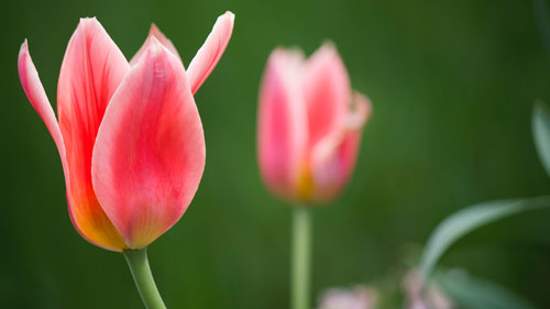 雅思口语part2如何写提纲