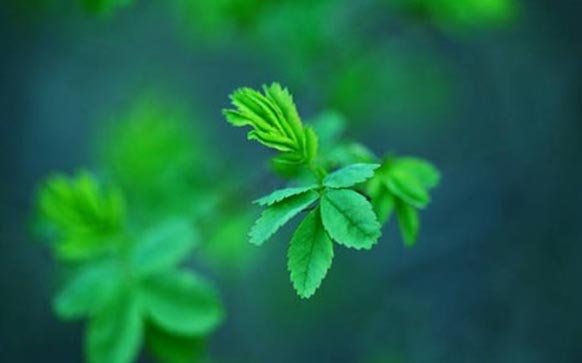 雅思口语艺术品话题