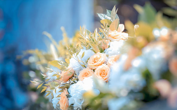 雅思阅读6分怎么提高