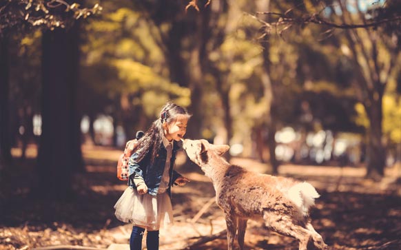 雅思口语怎么冲刺