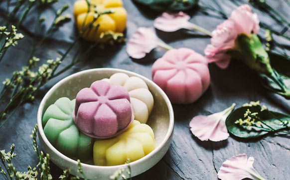 雅思口语Animals话题