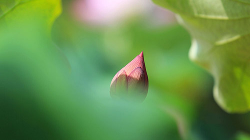 雅思口语part2怎么总结