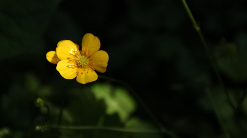 雅思口语Part2物品类话题怎么回答