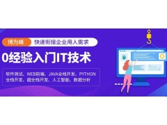 北京车载测试协议中的CAN和CAN FD分
