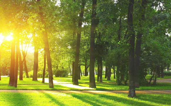 简单韩语日常对话