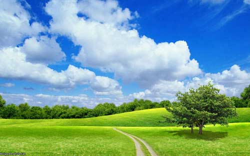 俄语中缩略词的出现和发展