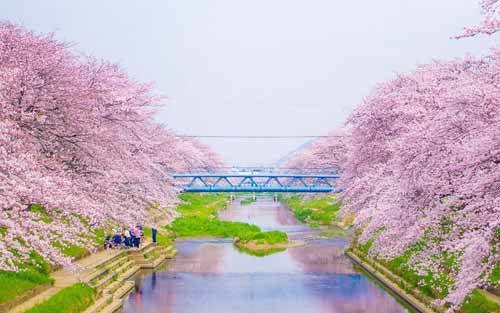 意大利语喜欢你怎么说