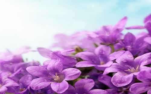 日语的电话如何说