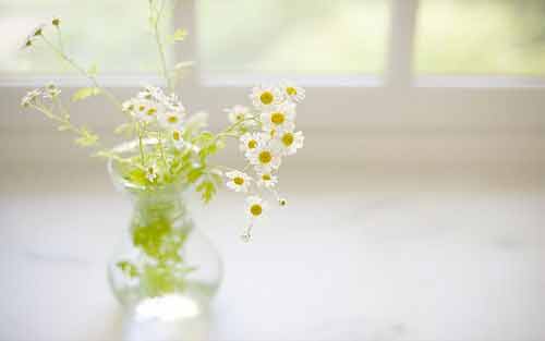 零基础怎样自学日语