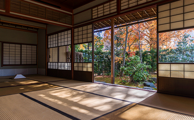 过了n1后怎么学日语