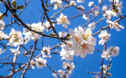 韩语学习的经验
