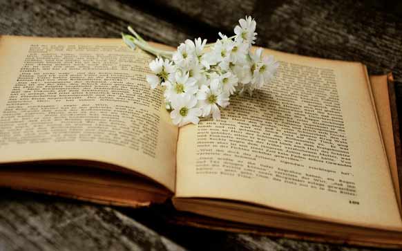 心动韩语怎样说