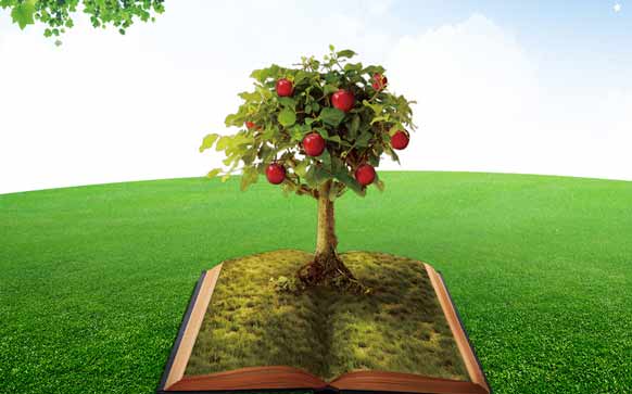 心动韩语怎样说