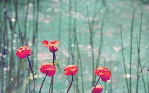 学习德语的好办法