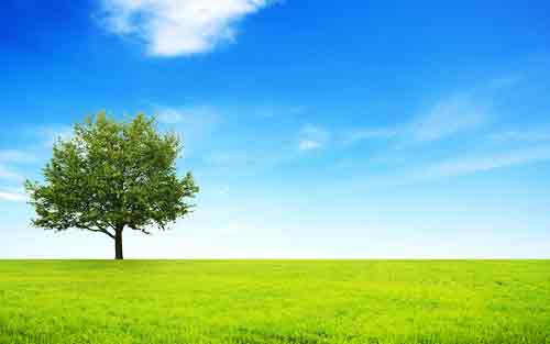 如何选择学习德语的教材